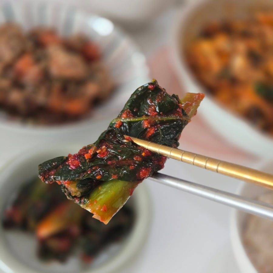 여수갓김치 추천 넘 맛있는 돌산수연갓김치 갓김치활용 요리 : 네이버 블로그