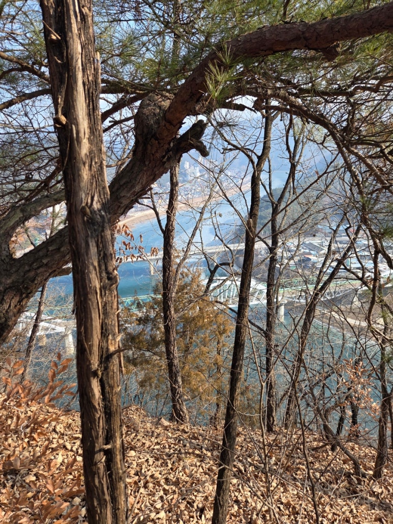 만천하스카이워크 짚라인매표소 이미지