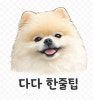 남양주 개떼놀이터: 강아지 운동장 & 애견동반식당 후기 — 사진 20