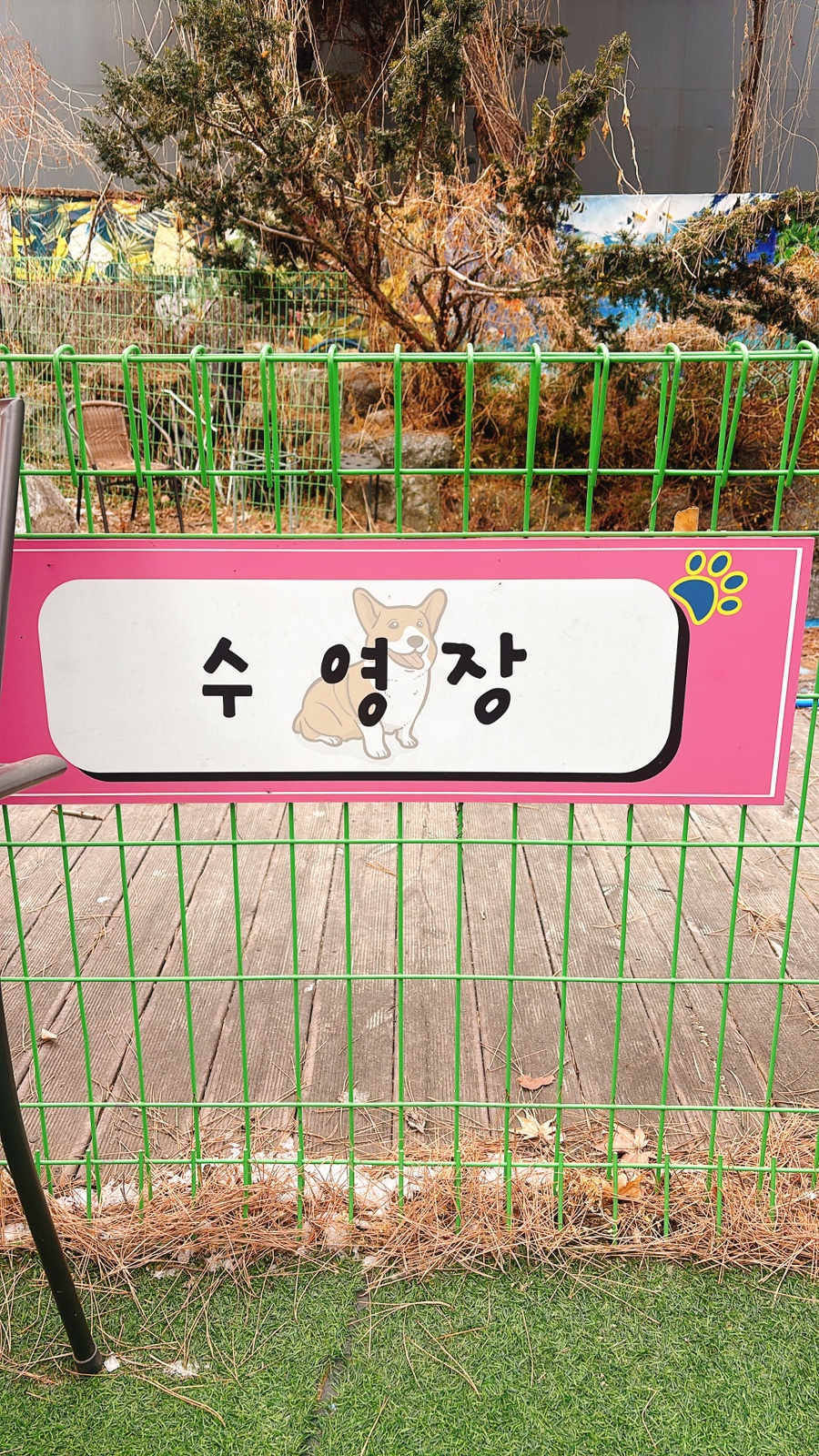 남양주 개떼놀이터: 강아지 운동장 & 애견동반식당 후기 — 사진 14