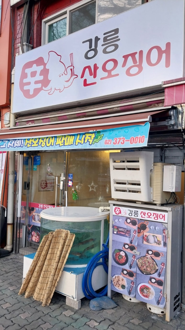 강릉산오징어 사진 3
