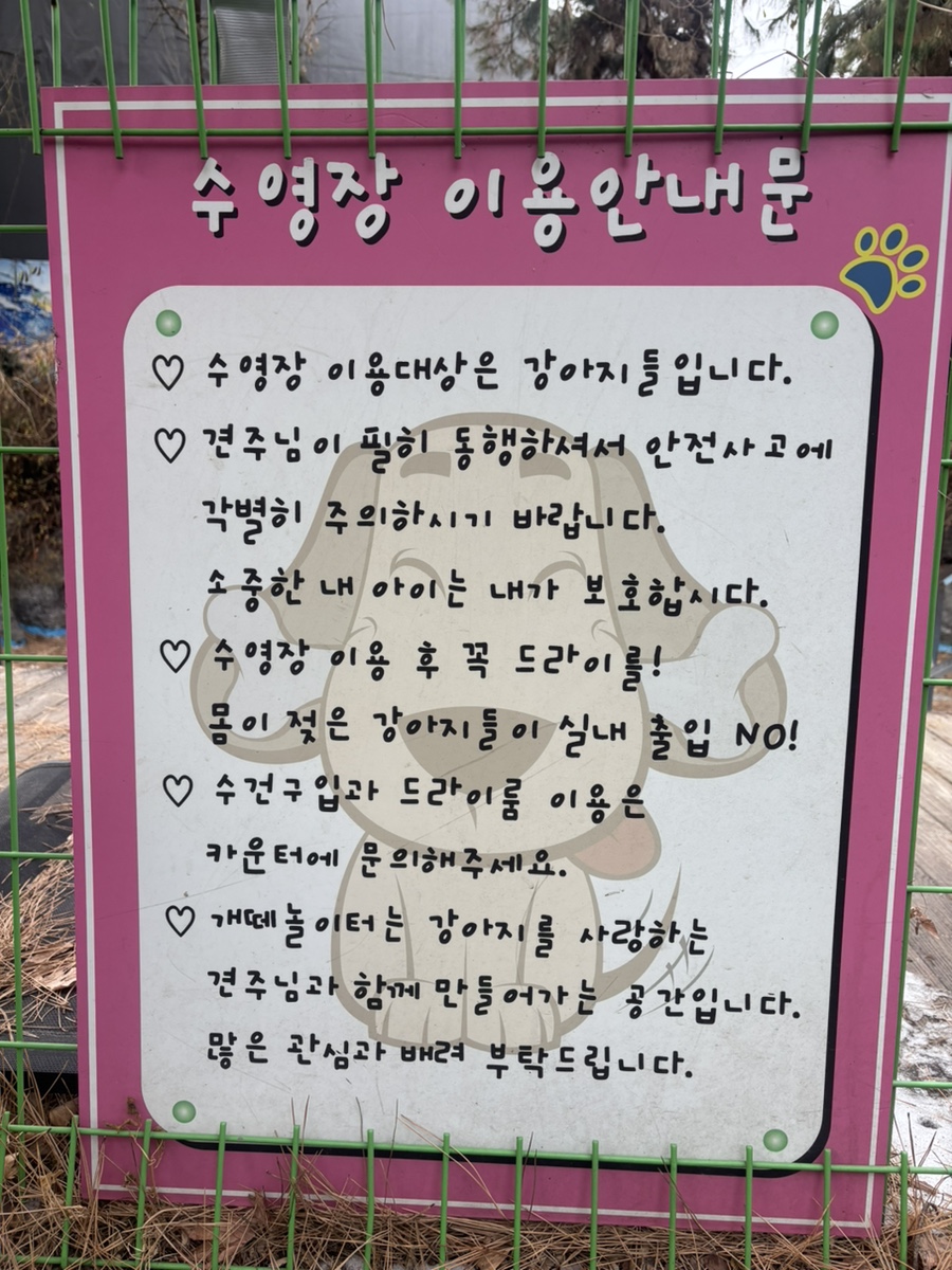 남양주 개떼놀이터: 강아지 운동장 & 애견동반식당 후기 — 사진 15