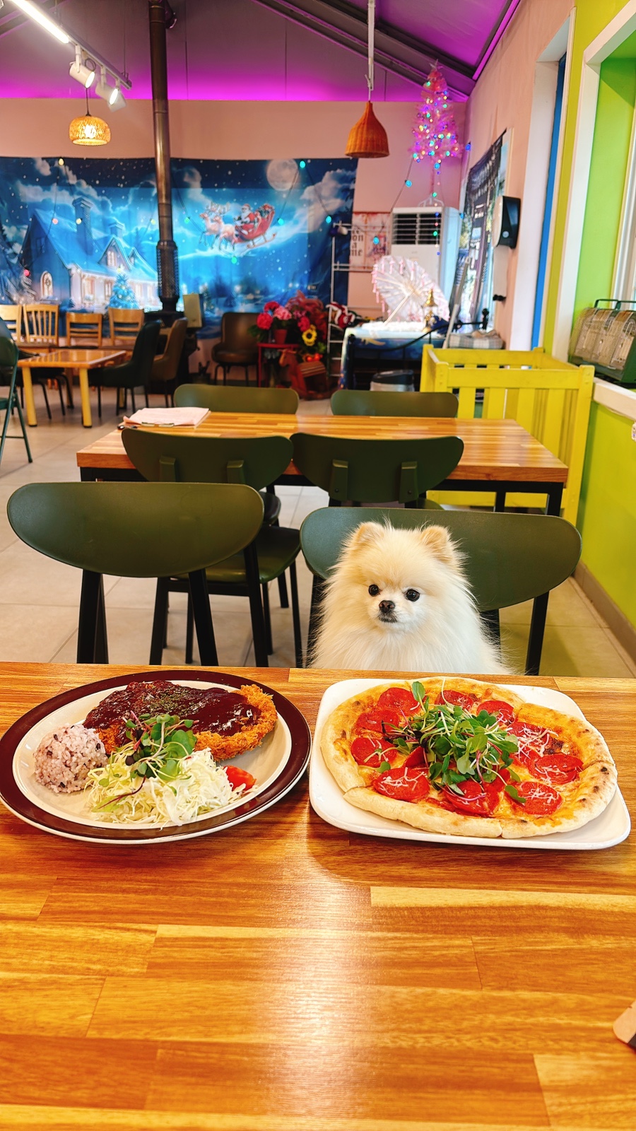 남양주 개떼놀이터: 강아지 운동장 & 애견동반식당 후기 — 사진 12