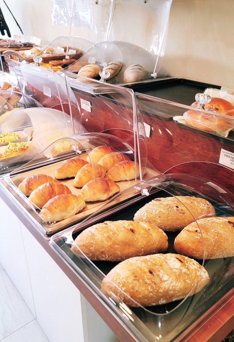 다옴베이커리카페 이미지