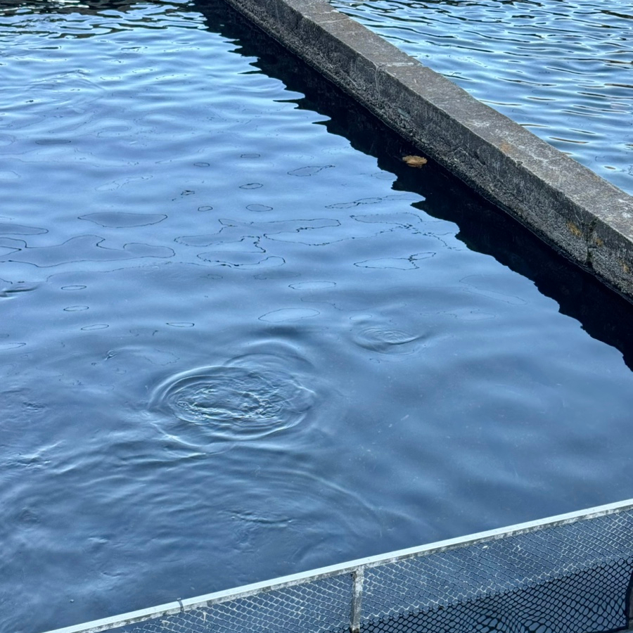 옥동양어장횟집 이미지