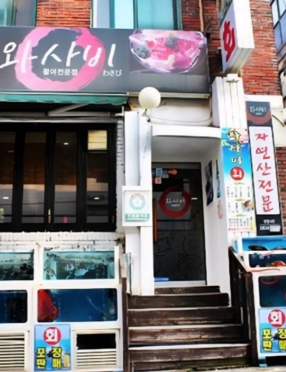 와사비 사진 3
