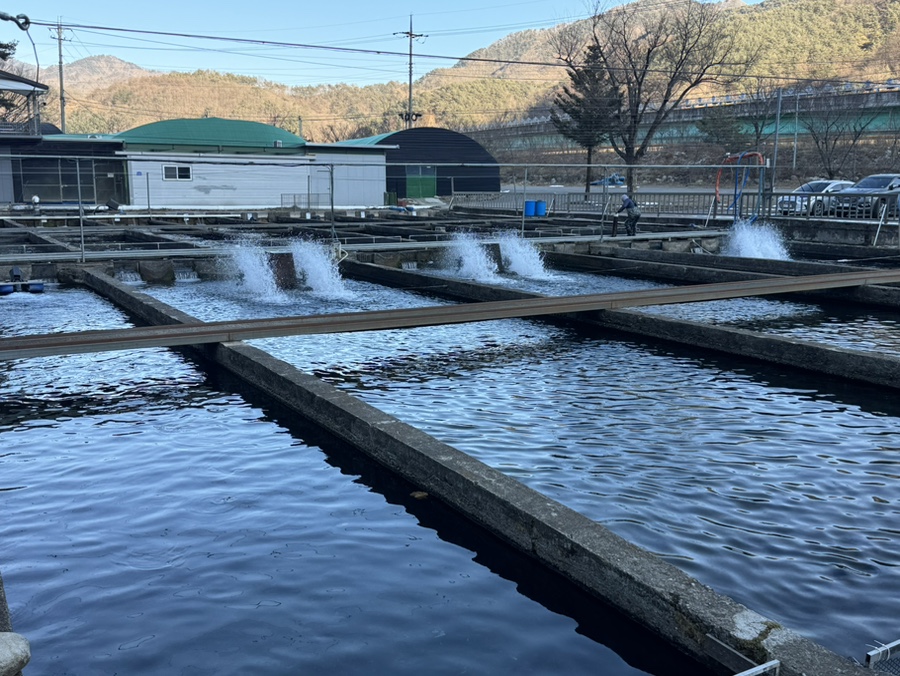 옥동양어장횟집 이미지