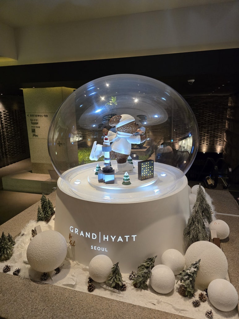 파리스바 사진 7
