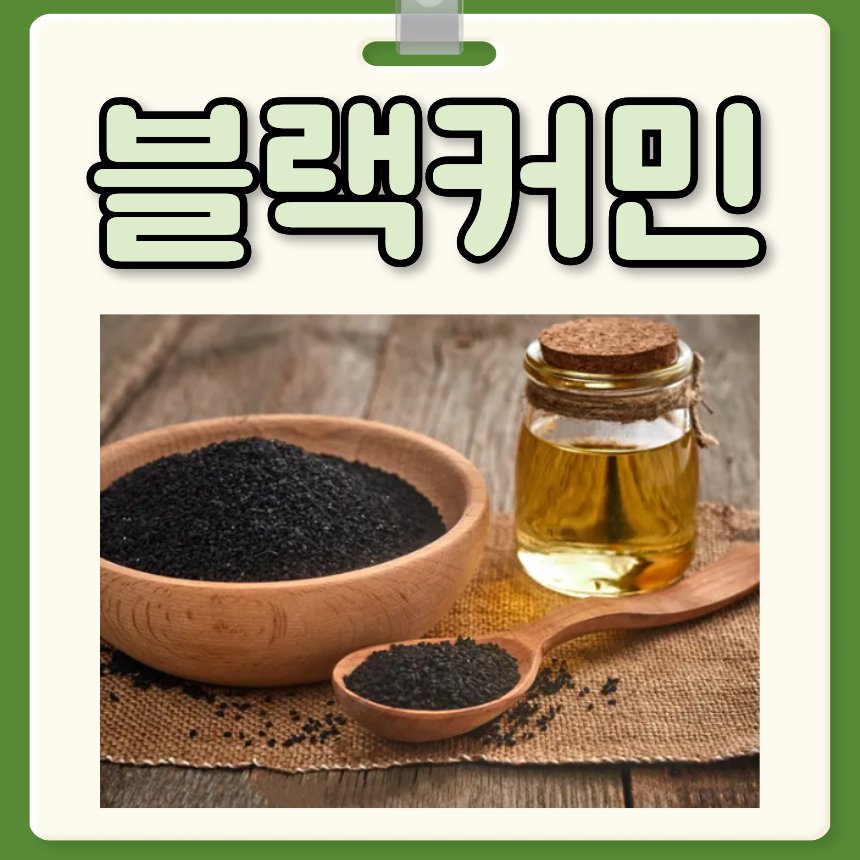 블랙커민 효능 부작용 블랙커민씨드오일 고르는 법 추천 : 네이버 블로그