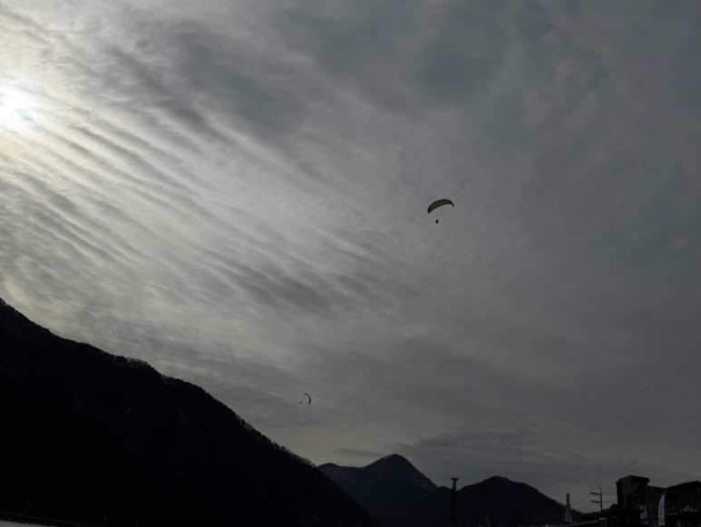 단양흑마늘닭강정 이미지
