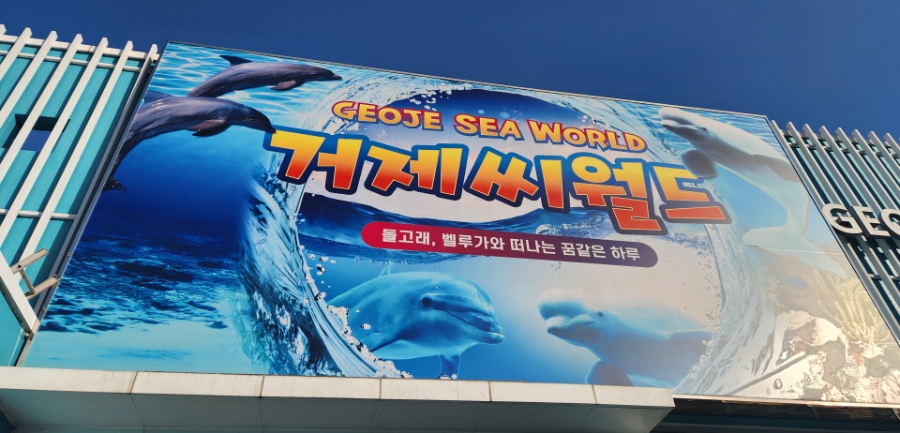 거제 아이와 함께하는 거제 씨월드: 겨울 가족 여행 추천 코스