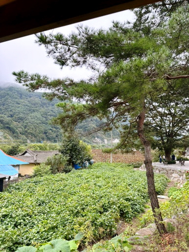 강가의아침펜션 이미지