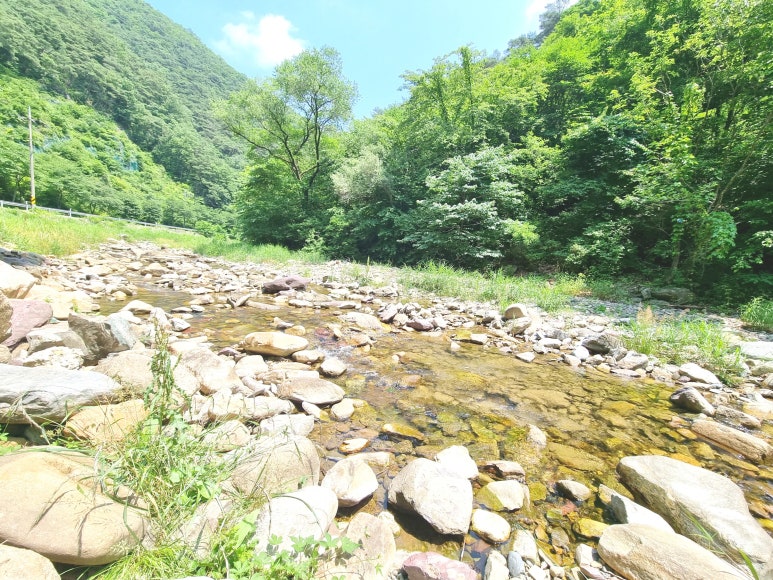 강가의아침펜션 이미지