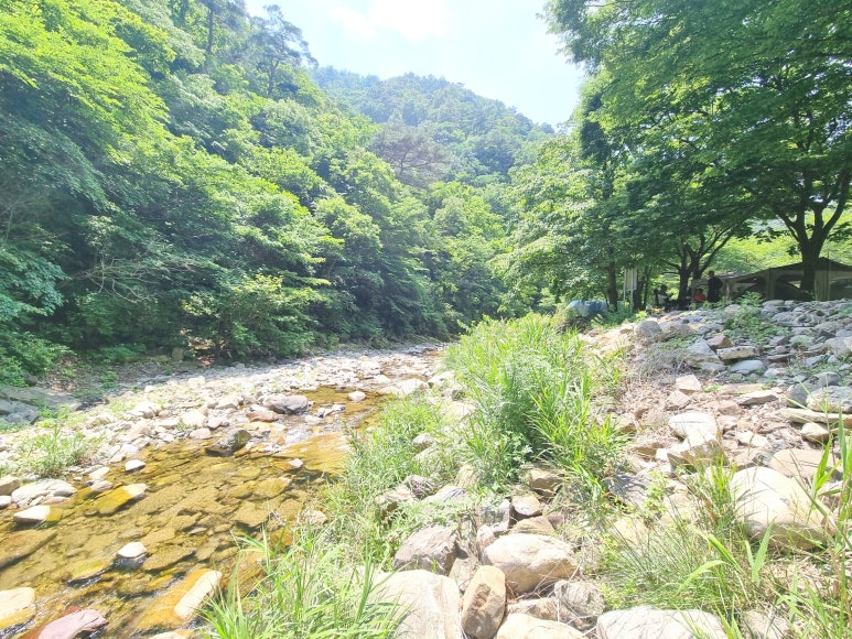 강가의아침펜션 이미지