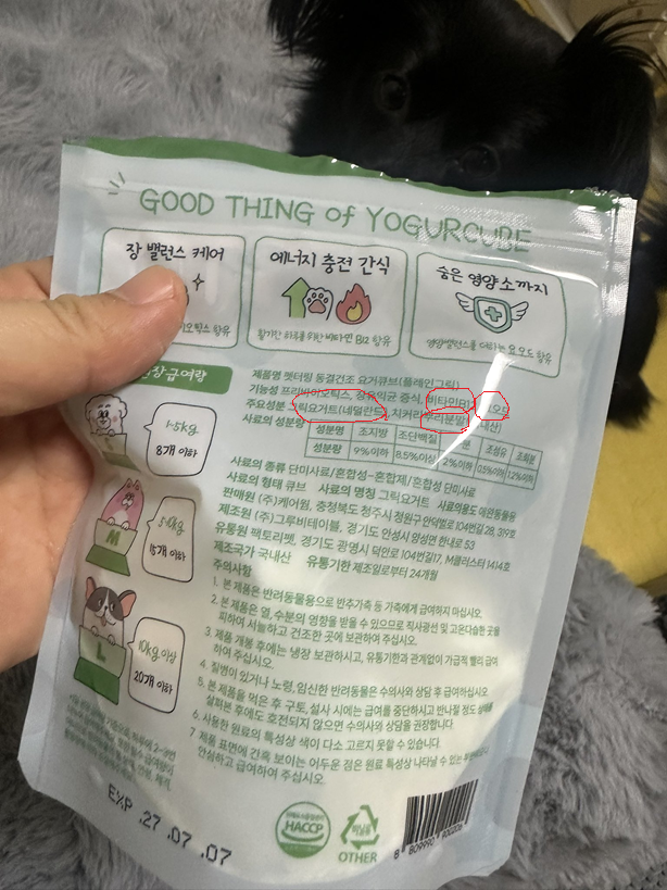 강아지 요거트 간식, 밥 토핑으로 기호성 UP! — 사진 6