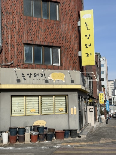 놀앙돼지 사진 6