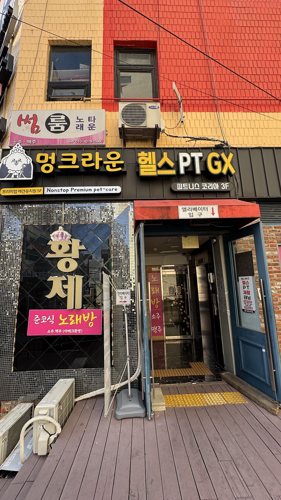 부산 애견 호텔·유치원 우리집첫째, 150평 운동장 호캉스