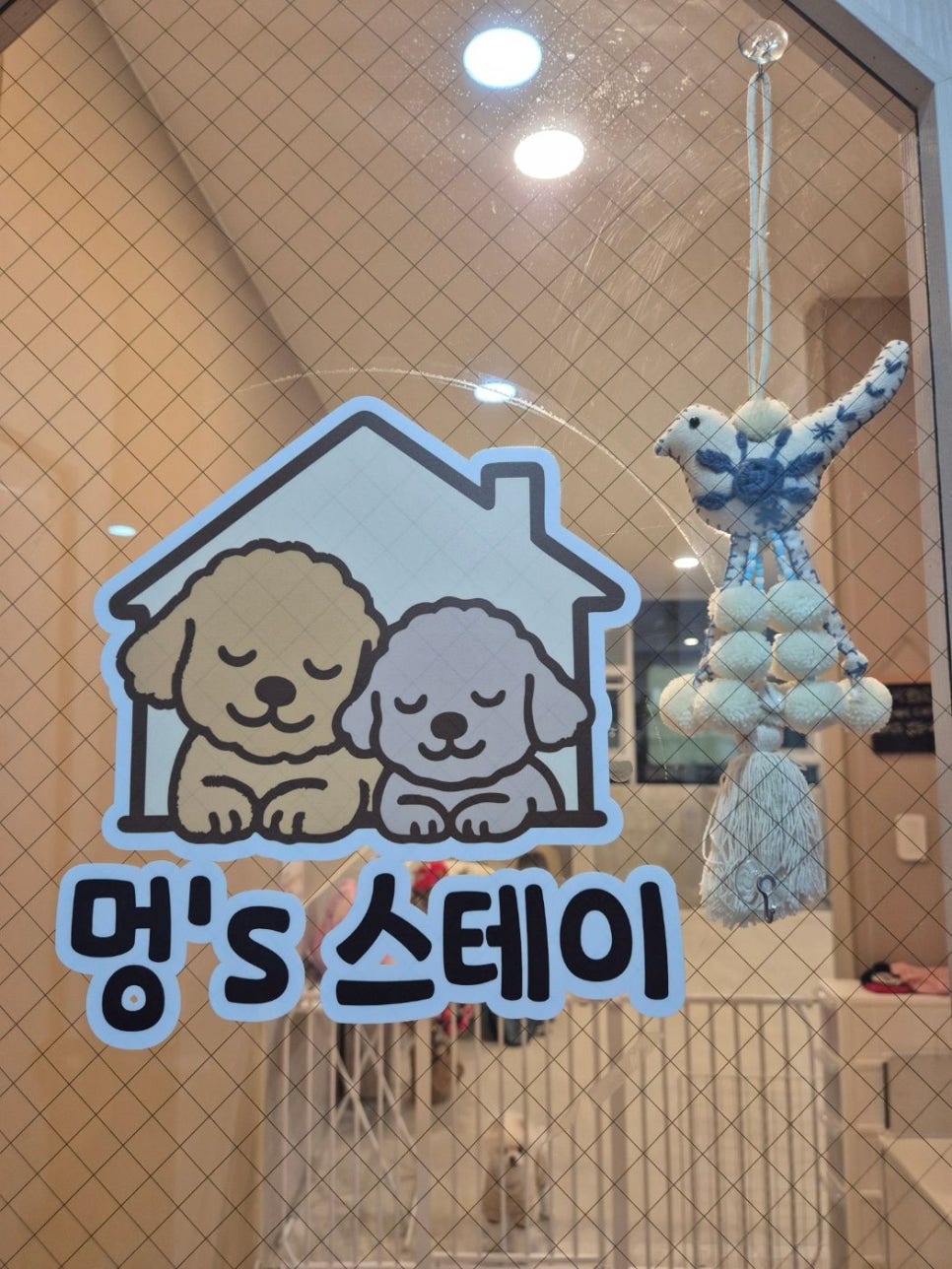 수원 애견호텔 멍's스테이, 개별룸 소수정예 데이케어 후기 — 사진 4