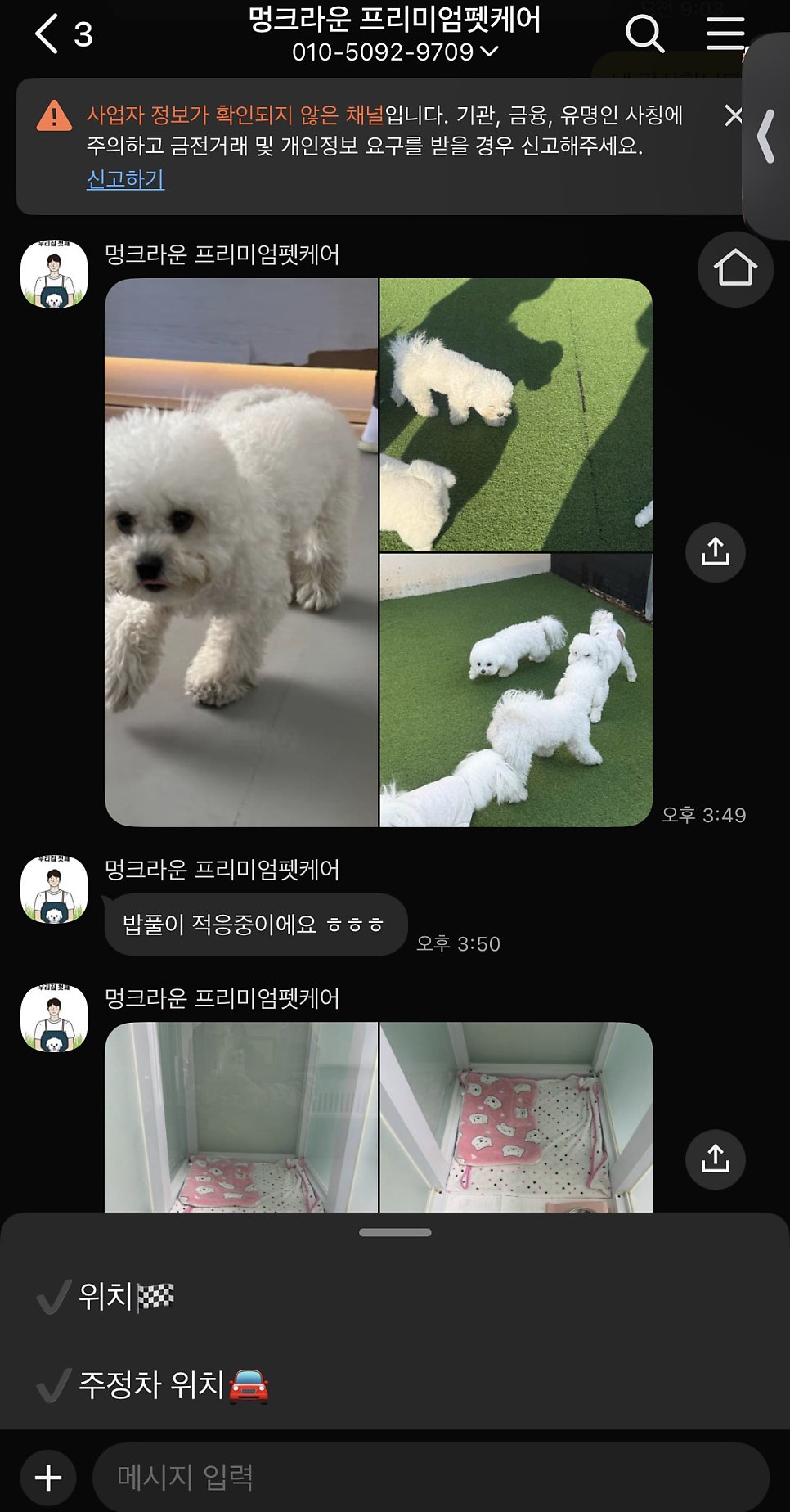 부산 애견 호텔·유치원 우리집첫째, 150평 운동장 호캉스 — 사진 18