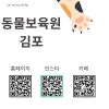 김포 고양이 호텔 후기, 믿을 수 있는 곳 찾는 법