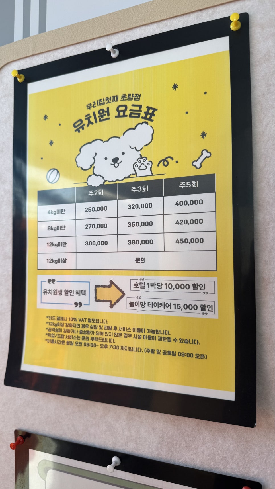 부산 애견 호텔·유치원 우리집첫째, 150평 운동장 호캉스 — 사진 3