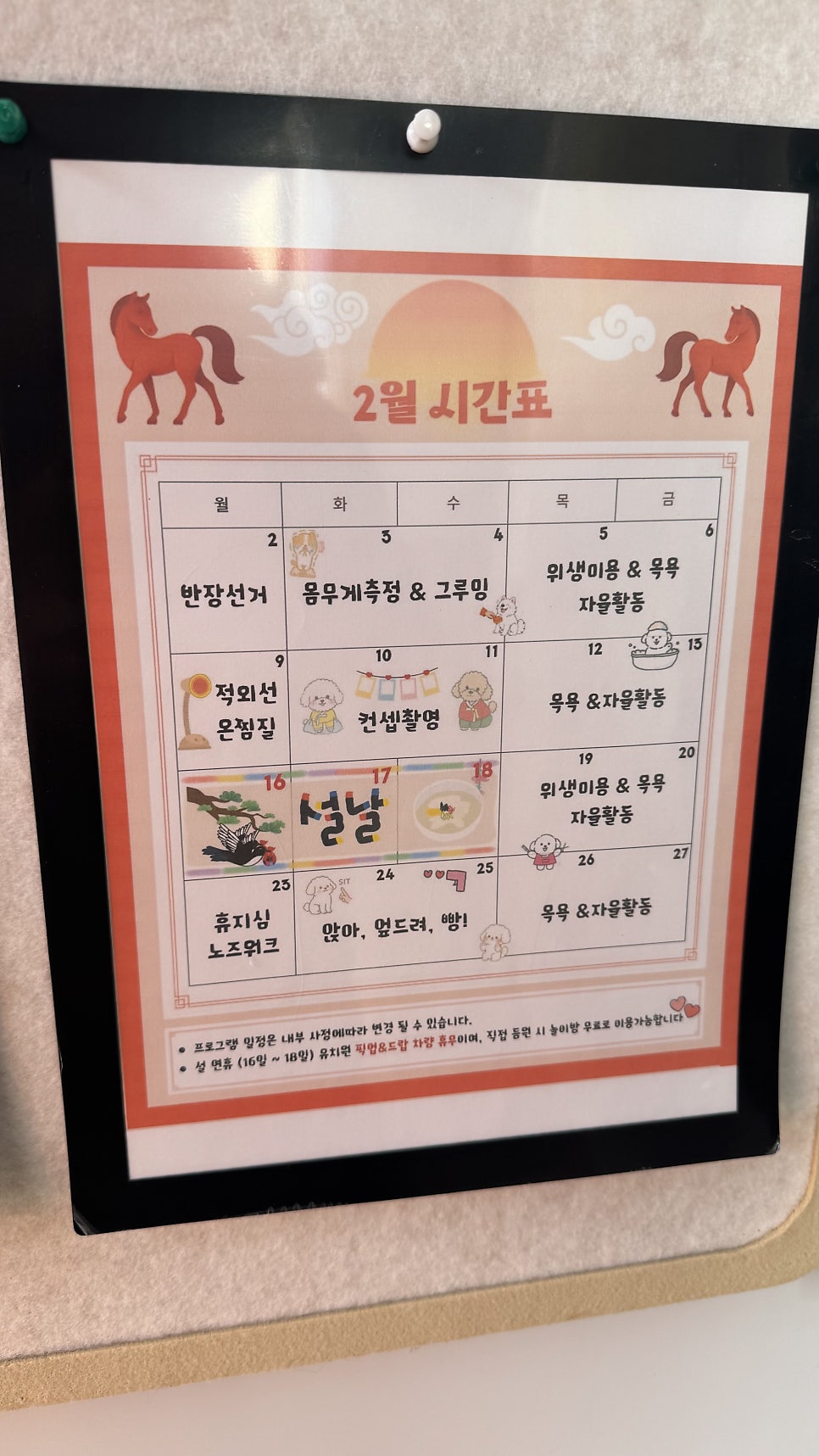부산 애견 호텔·유치원 우리집첫째, 150평 운동장 호캉스 — 사진 17