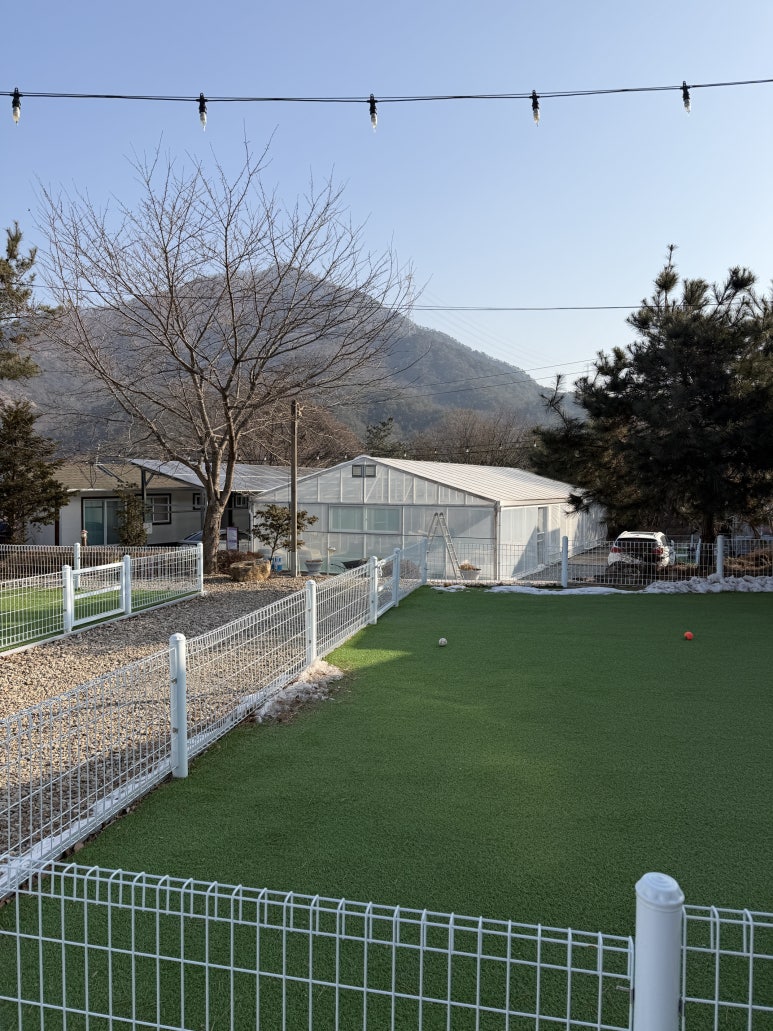 단양 댕댕이애견펜션 이미지