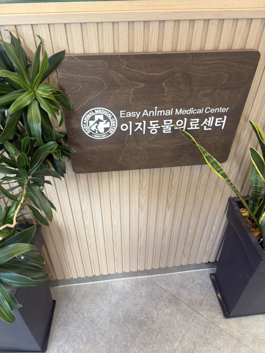 부천 이지동물의료센터: 강아지 슬개골탈구 정밀검진 후기 — 사진 2