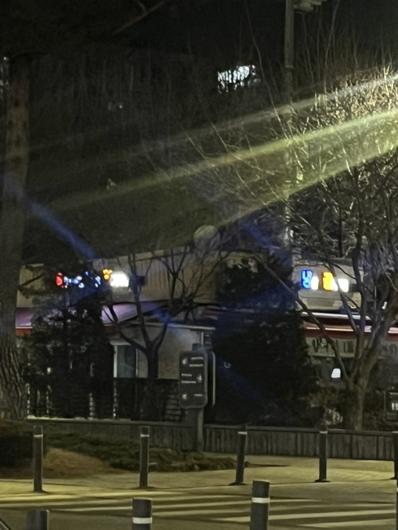 묵은지삼겹냉삼김치찌개 사진 7