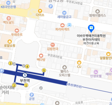 부천 애견미용학원, 가정견 실습으로 실력 키우기 — 사진 11