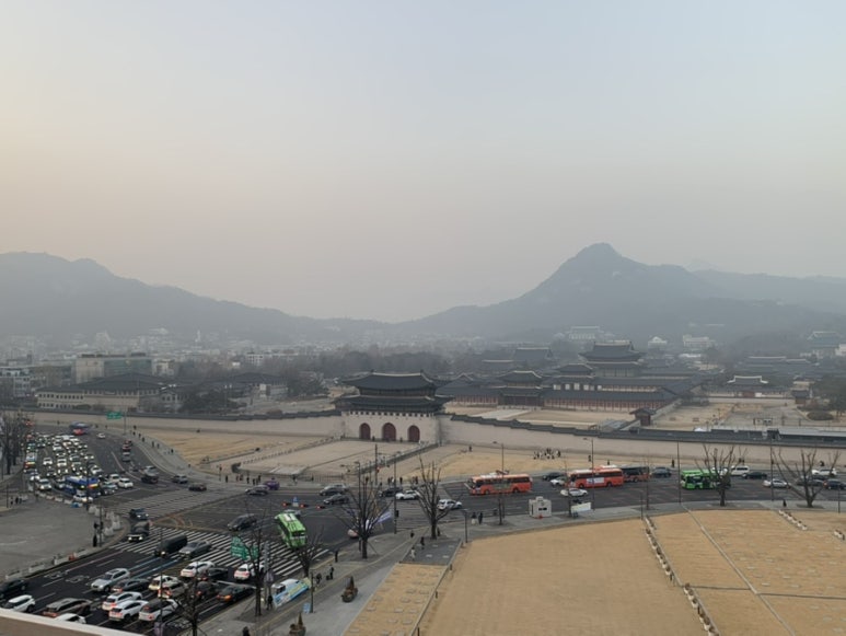 좋아좋아숯불갈비 5호점 사진 8