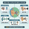 보청기를 착용하면 내 목소리가 울리는 이유!(완벽정리) — 원문 이미지 3