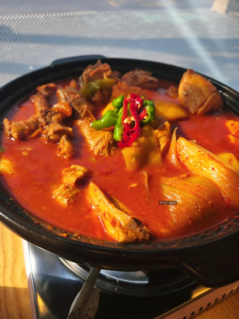 정닭 사진 7