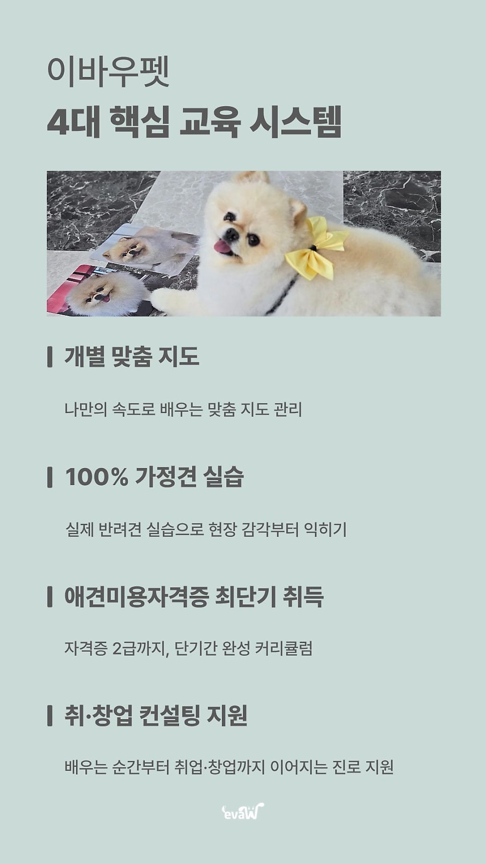 성남애견미용학원, 실견 실습으로 실무 능력 키우기 — 사진 9
