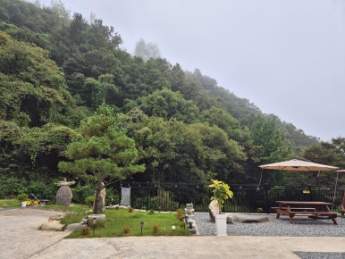 단양도담캠핑장 이미지