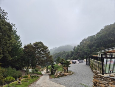 단양도담캠핑장 이미지