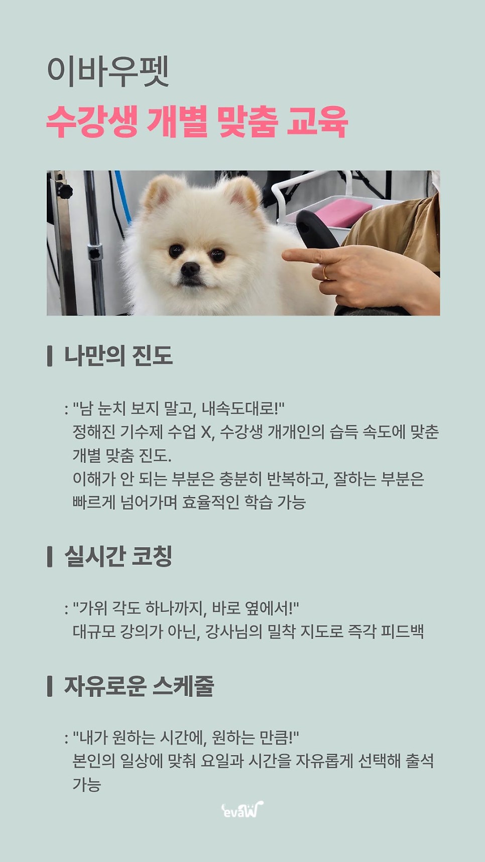 성남애견미용학원, 실견 실습으로 실무 능력 키우기 — 사진 8