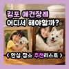 김포 애견장례, 후기로 증명된 안심 장례식장 추천