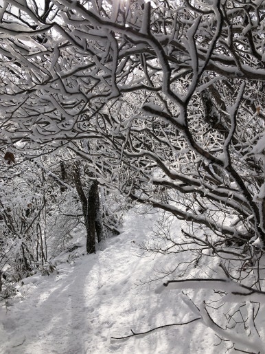 소백산천문대 이미지