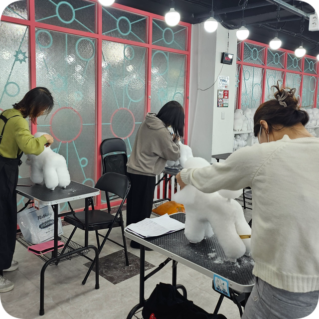 대전 애견미용학원, 자격증 고득점 합격 비결 공개 — 사진 7