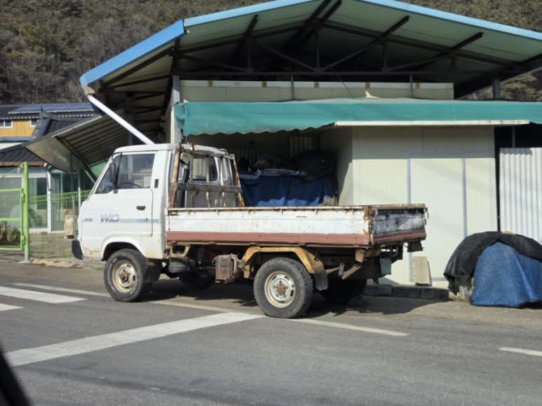 서연쏘가리 이미지