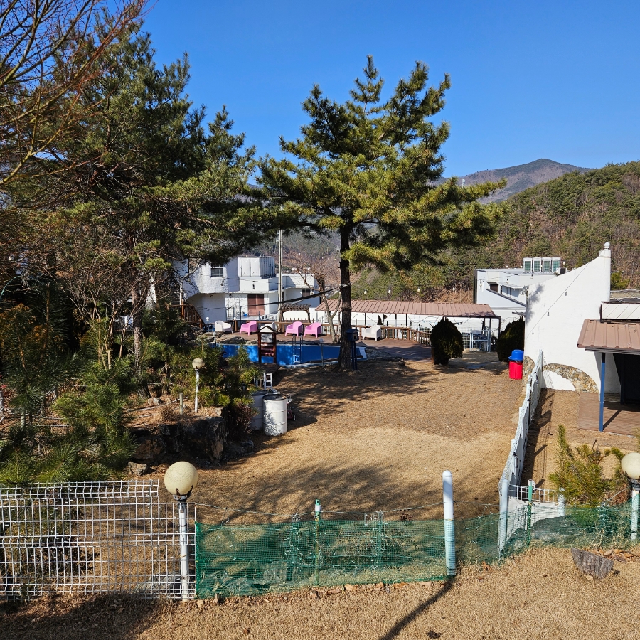 밀양 쿠쿠숲펜션: 강아지 개별 운동장 완비 부산 근교 애견동반 — 사진 2