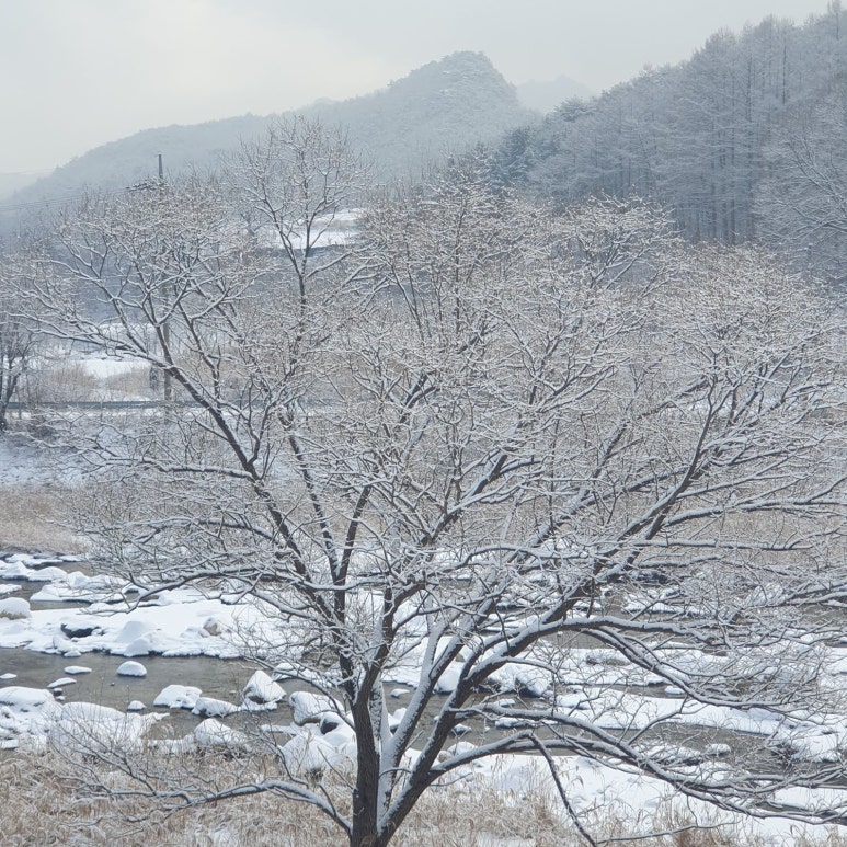 들꽃정원펜션 이미지