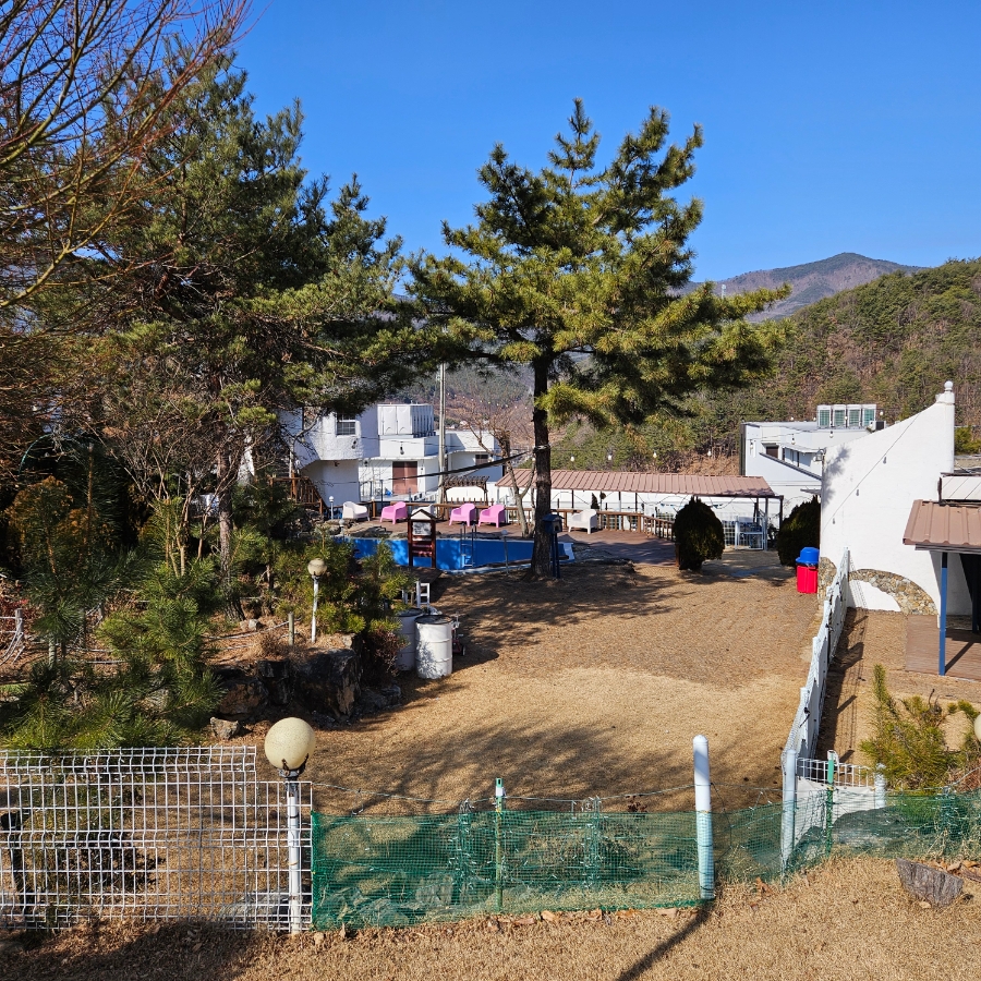 밀양 쿠쿠숲펜션: 강아지 개별 운동장 완비 부산 근교 애견동반 — 사진 3
