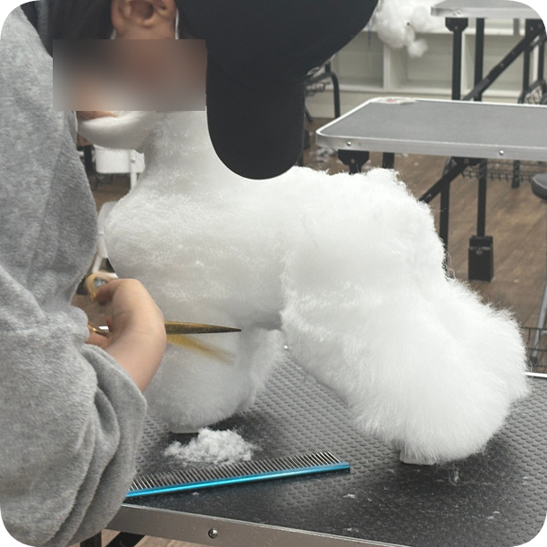 부산 애견미용학원 2급 자격증 최단기 합격 후기 — 사진 2