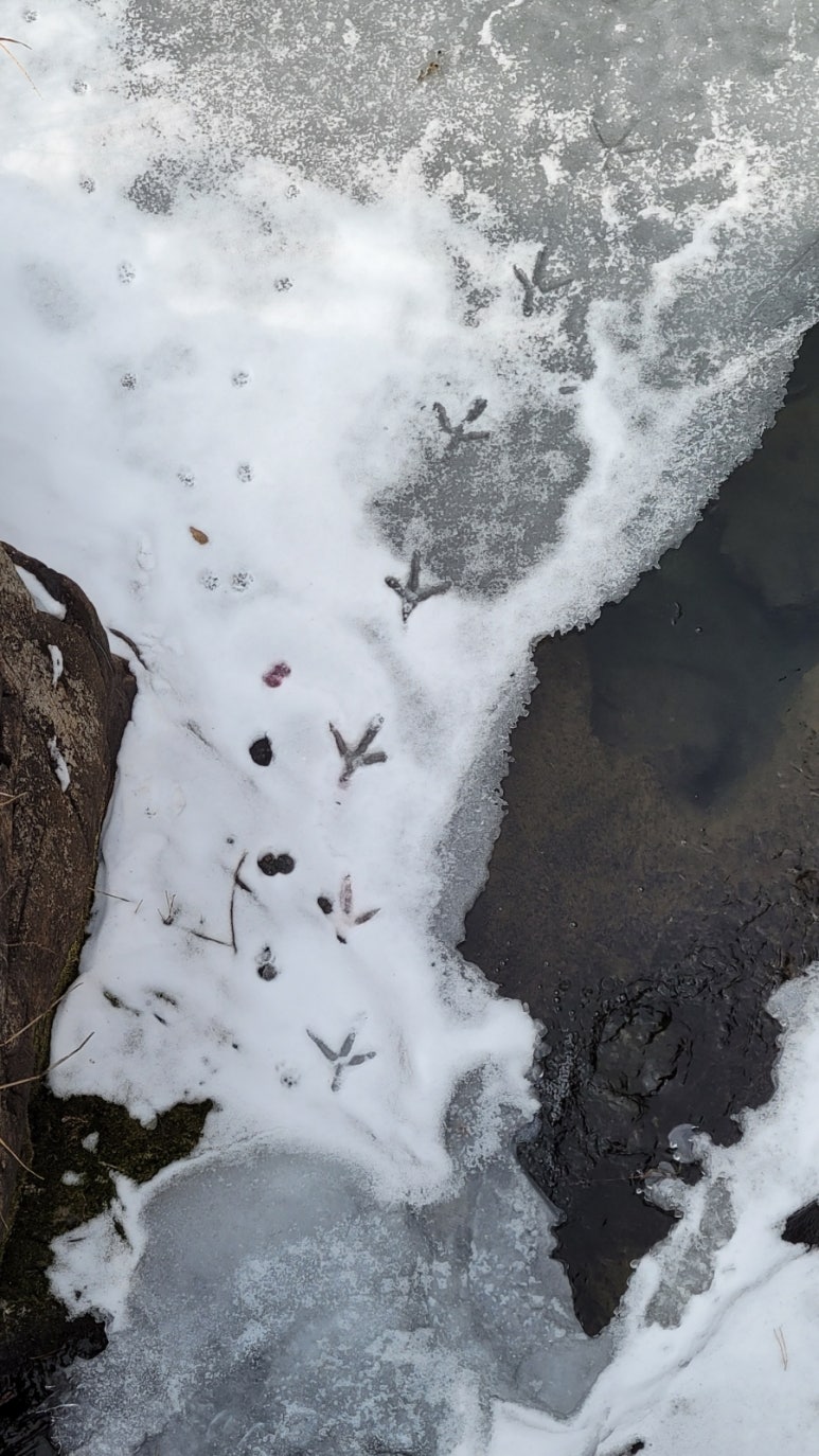 덕담펜션 이미지