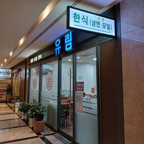 유림 사진 3