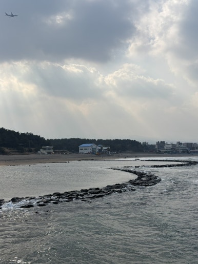 큰손 사진 8