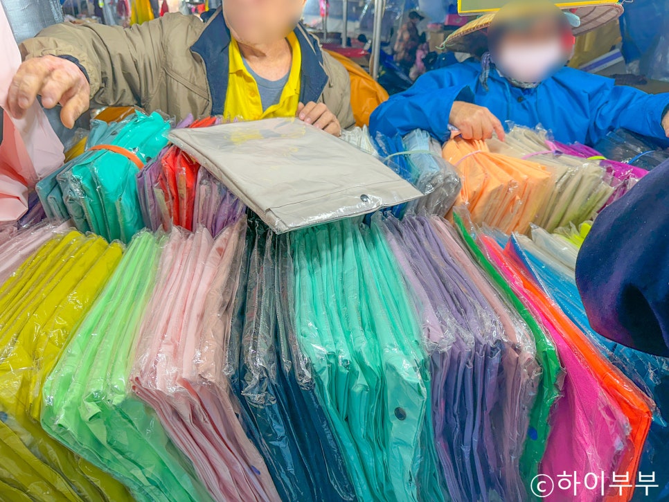 대만 타이베이 예스지 버스 투어: 펀트립 후기 및 추천 코스 — 사진 9