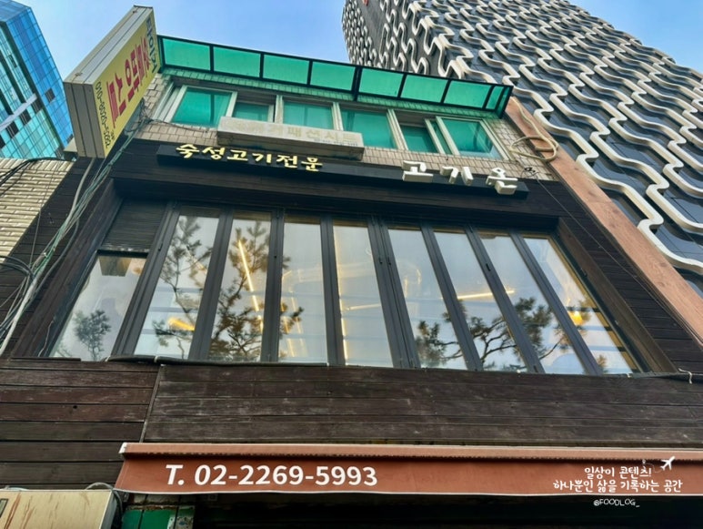 고기온 사진 7